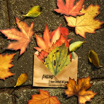 20 шт./лот Блокноты для заметок Материал бумага Осенние листья и цветочные буквы Ненужный журнал карточки для скрапбукинга ретро бумага