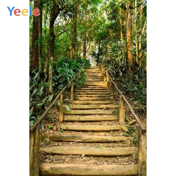 Лестница Йеле, джунгли, лес, деревья, весенний пейзаж, фоны для фотосъемки, индивидуальные фотографические фоны для фотостудии