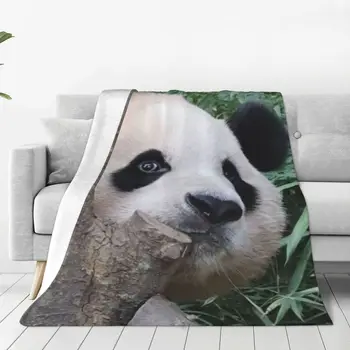 Одеяло для животных Fubao Panda Fu Bao, теплые уютные гипоаллергенные пледы для постельного белья, декора комнаты