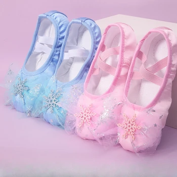 Прекрасные танцевальные туфли принцессы, Балетные туфли на мягкой подошве для девочек, Китайские танцевальные туфли для тренировки тела, специальные туфли с кошачьими когтями